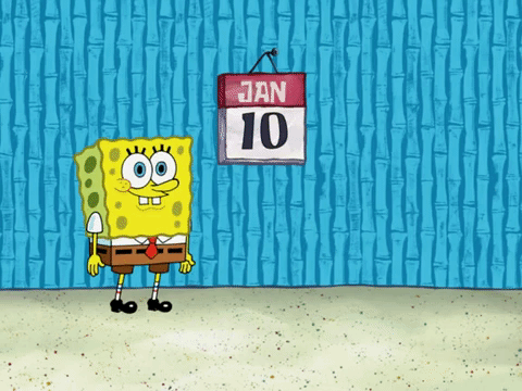 season 6 squid's visit GIF by SpongeBob SquarePants