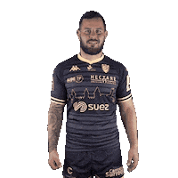 Pro D2 Rugby Sticker by US Carcassonne