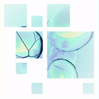 GIF by Dean Moroney