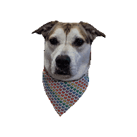 Katsu Love Dog Sticker by Geekster Pets