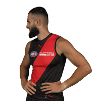 Dons Bombers Sticker by Essendon FC