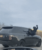 Ugh GIF by New 11