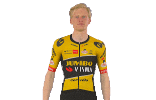 Tour De France Win Sticker by Team Jumbo-Visma