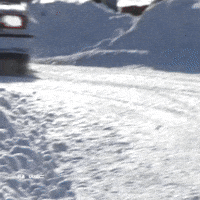 Rallying Rally Sweden GIF by FIA World Rally Championship