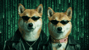Matrix Code GIF by DogeGF