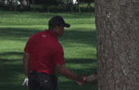 Tiger Woods Sport GIF