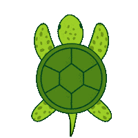 mawahdesign animal sea swim turtle Sticker