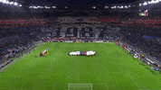 fans lyon GIF by Olympique Lyonnais