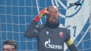Delije GIF by sportmts