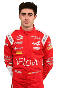 David Alpine Sticker by Prema Team