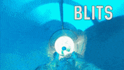 Water Waterpark GIF by Duinrell
