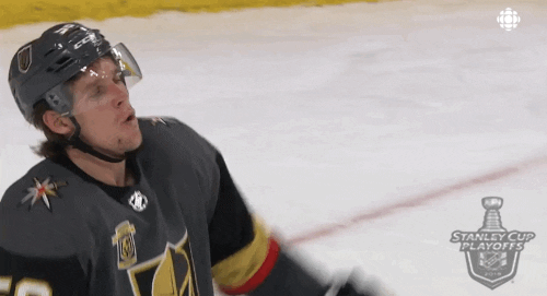 happy ice hockey GIF by NHL