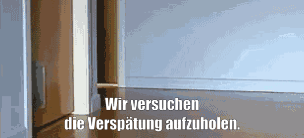 unsereoebb giphyupload cat katze oebb GIF