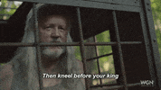 wgn america king GIF by Outsiders
