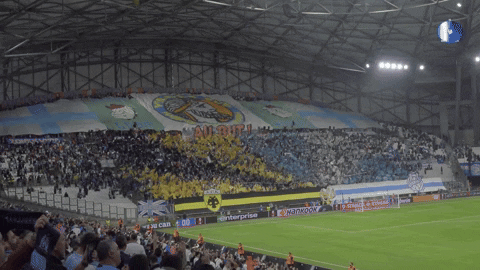 Happy Football GIF by Olympique de Marseille