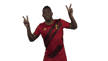 Red Devils Football Sticker by Royal Belgian FA