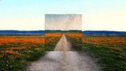 anthonysamaniego art 3d aesthetic floral GIF