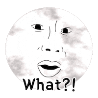 Full Moon What Sticker
