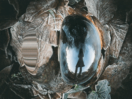 You Can Wow GIF by FranchiseONE.de