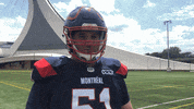 Calm Down Montreal Alouettes GIF by Alouettes de Montréal
