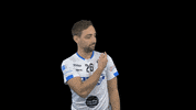 panteri kostka matejkostka GIF