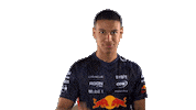 Red Bull Sr Sticker by Oracle Red Bull Racing