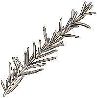 Vegan Herbs Sticker