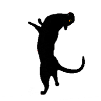 srodan art cat animation animated GIF