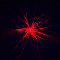 gif artist glow GIF by Erica Anderson