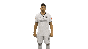 Tim Kister Bundesliga Sticker by SV Sandhausen