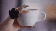 Nmixx GIF