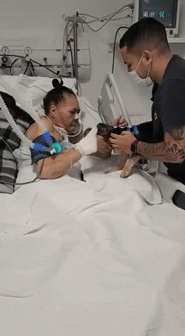 cuteanimalland giphyupload GIF