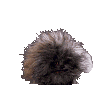 Dark Crystal Netflix Sticker by The Dark Crystal: Age of Resistance