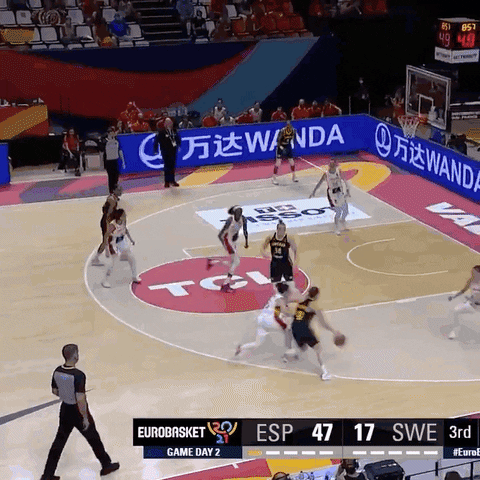 GIF by Basketfem