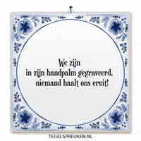 Humor Nl GIF by Tegelspreuken.nl