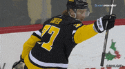 Ice Hockey Sport GIF by NHL