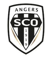 Football Sport Sticker by Ligue 1