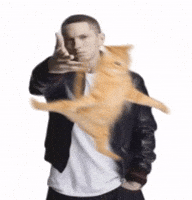 Cat Eminem GIF