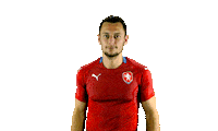 Czech Republic Ceskarepre Sticker by 2score