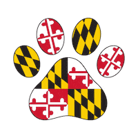 Sticker by Route One Apparel