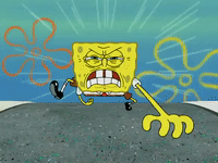 season 4 krusty towers GIF by SpongeBob SquarePants