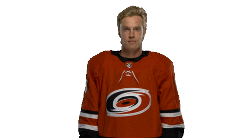 Ryan Dzingel Sticker by Carolina Hurricanes
