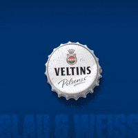 Football Soccer GIF by FC Schalke 04