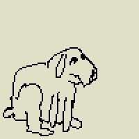 dog GIF by Dan Anthony Kelly