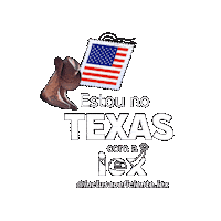 Ie Sticker by Inclusão Eficiente