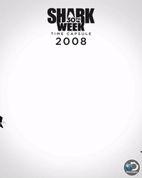 GIF by Shark Week