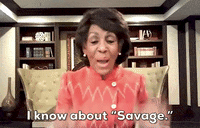 Maxine Waters Megan Thee Stallion GIF by GIPHY News