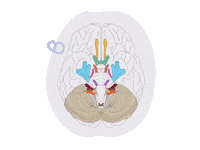 Big Brain Sticker