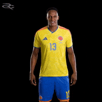 Fifa World Cup Colombia GIF by Respective