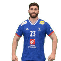 Ffhandball Yes Sticker by Fédération Française de Handball